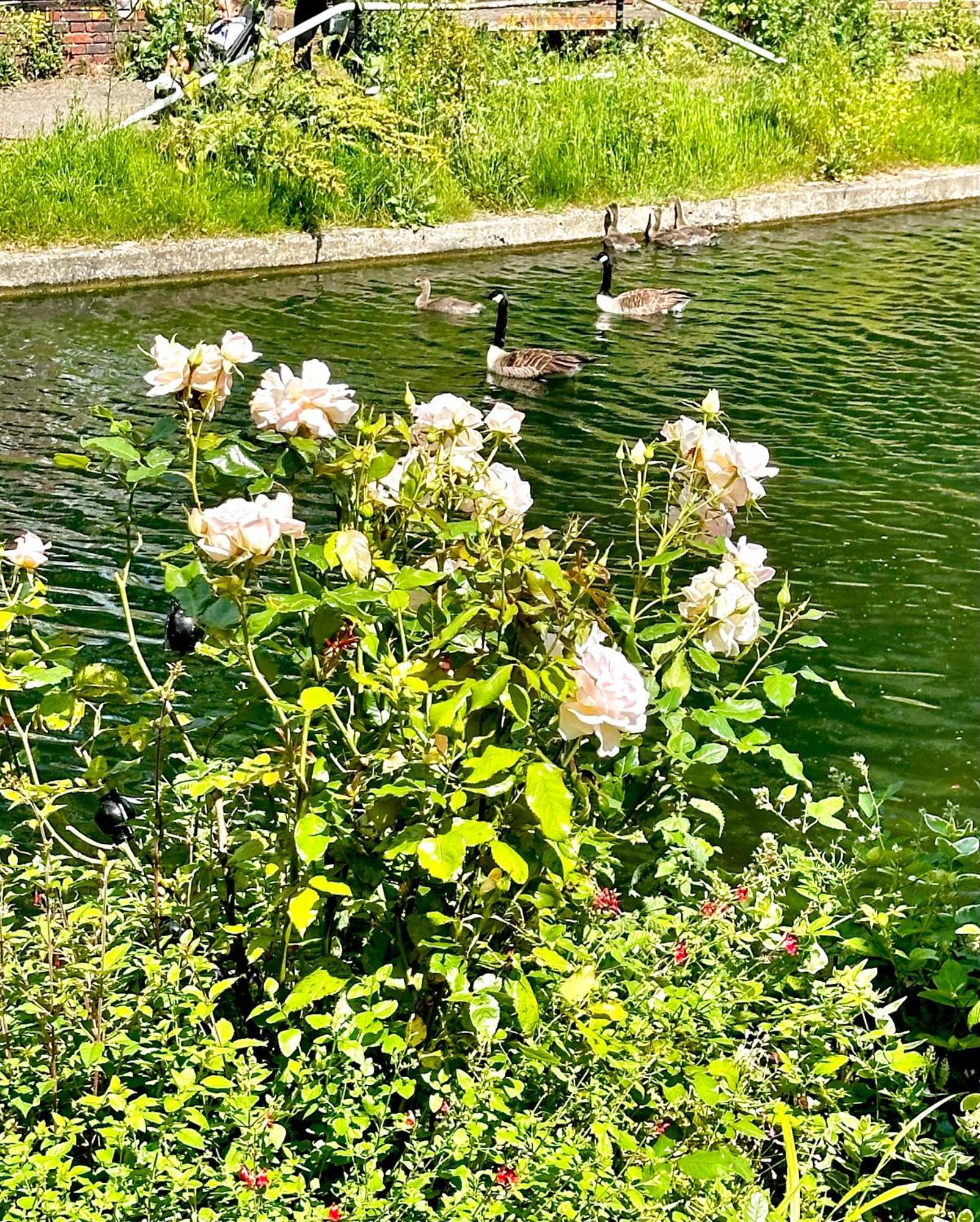 Amazing Location - City Of London- 2 Bedroom Stunning Canal View House With Private Garden,Parking & Balcony Eksteriør bilde